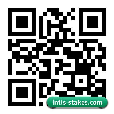 iOS 苹果专属版 二维码（Stake）